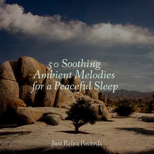 50 Soothing Ambient Melodies for a Peaceful Sleep - Calming Sounds