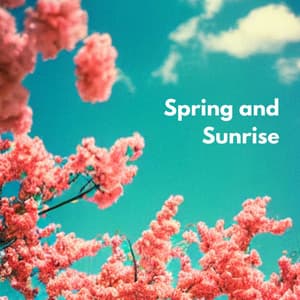Spring and Sunrise Music - Soft Jazz Radio