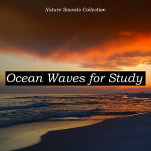 Nature Sounds Collection Ocean Waves for Study - Rain Sounds & Nature Sounds