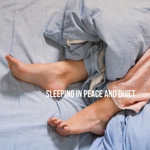 Sleeping in Peace and Quiet - Baby Lullaby