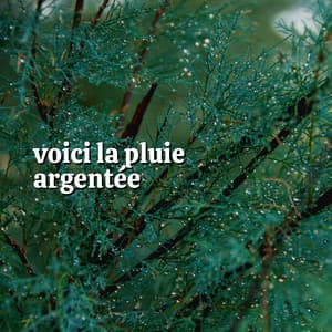 Voici La Pluie Argentée - Hi-Def FX
