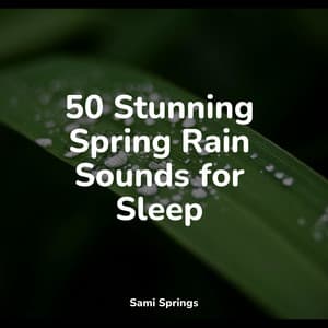 50 Stunning Spring Rain Sounds for Sleep - Shakuhachi Sakano