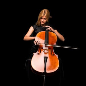 Orchestra Harmony: Symphony for Soothing - Charles Anderson