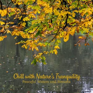 Chill with Nature's Tranquility: Peaceful Waters and Streams - Meteoric Stream