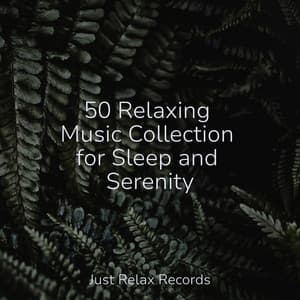 50 Relaxing Music Collection for Sleep and Serenity - Relaxing Music