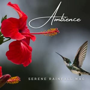 Canine Tranquility: Rainfall Ambience for Dogs - Rain for Deep Sleeping