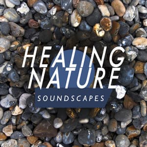 Healing Nature Soundscapes - The Healing Sounds of Nature
