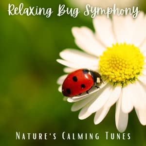 Relaxing Bug Symphony: Nature's Calming Tunes - Nature 101