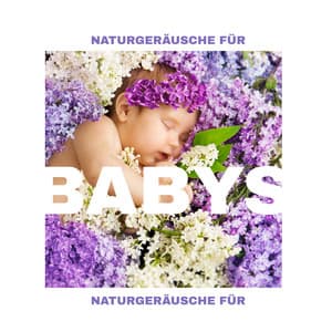 Naturgeräusche für Babys - Beruhigende Schlaflieder bei Nacht, Naturmusik für Kinder - Ruhigen Schlaf Akademie