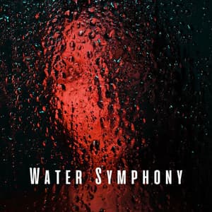 Water Symphony: Rainfall and Chill Music for Ultimate Relaxation - About A Sudden Rainstorm