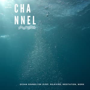 Ocean Sounds for Sleep, Relaxing, Meditation, Work - Sea Noise Channel