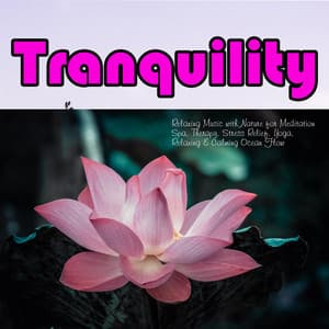 Tranquility: Relaxing Music with Nature for Meditation Spa, Therapy, Stress Relief, Yoga, Relaxing & Calming Ocean Flow - Stress Relief Therapy Music Academy