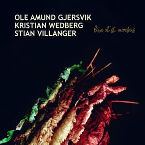 Live At St. Markus - Ole Amund Gjersvik