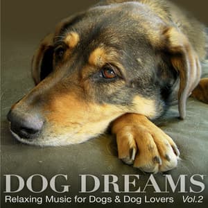 DOG DREAMS - Relaxing Music for Dogs & Dog Lovers Vol.2 - PETS LOVE MUSIC