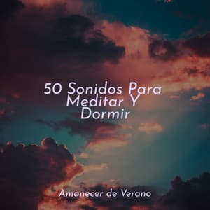 50 Sonidos Para Meditar Y Dormir - Masajes Spas