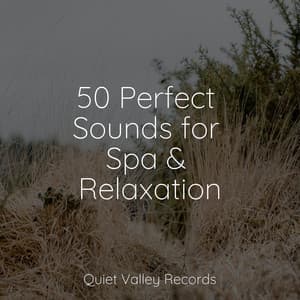 50 Perfect Sounds for Spa & Relaxation - Sonidos de la Naturaleza
