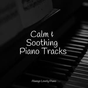 50 Calming Piano Melodies for Work and Study - Calming Baby Sleep Music Club