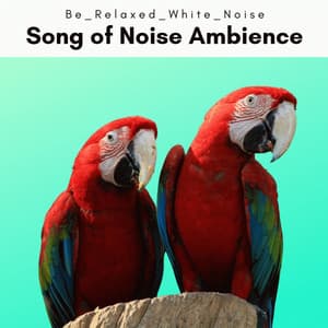 1 Song of Noise Ambience - Be Relaxed White Noise