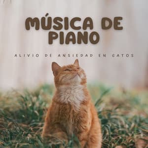 Música De Piano: Alivio De Ansiedad En Gatos - Jazz relajado de fácil escucha