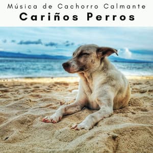 4 Patas: Cariños Perros - Música de Cachorro Calmante