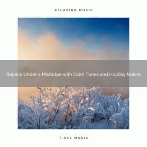 Rejoice Under a Mistletoe with Calm Tunes and Holiday Noises - Christmas Sleep Baby