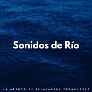 Sonidos De Río: Un Arroyo De Relajación Pura - Arroyos Ventosos