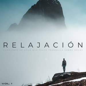 Relajación: Corriente De Agua Que Fluye Tranquila Sobre Rocas Vol. 1 - Sonido relajante de la naturaleza