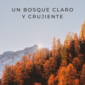Un Bosque Claro Y Crujiente - Bosque Tropical
