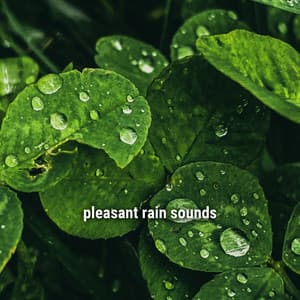 pleasant rain sounds - Lightning, Thunder and Rain Storm