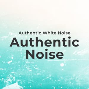 Authentic Noise - Authentic White Noise