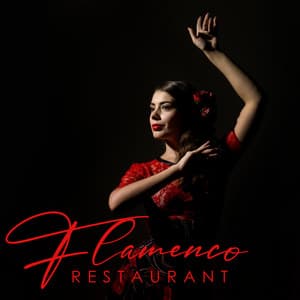 Flamenco Restaurant - Robin Berg