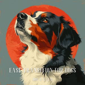 Ease Transition for Dogs - Dog & Calm