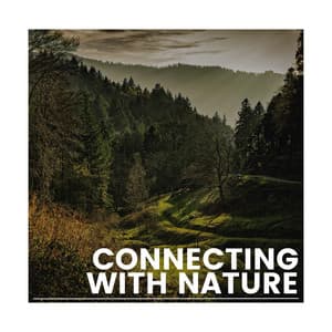 Connecting with Nature - Elements of Nature