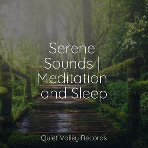 Serene Sounds | Meditation and Sleep - Binaural Creations