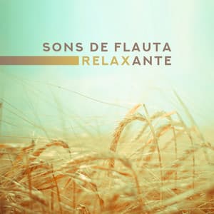 Sons de Flauta Relaxante – Tranquilidade, Paz, Harmonia, Mente Leve, Sono Restaurador, Música Calmante - Magic New Age Music Masters