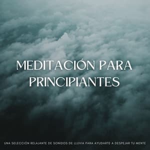 Meditación Para Principiantes: Una Selección Relajante De Sonidos De Lluvia Para Ayudarte A Despejar Tu Mente - Lluvia