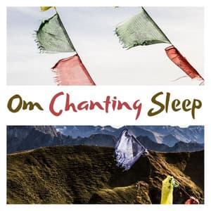 Om Chanting Sleep: Removes All Negative Blocks - Chakra Dream
