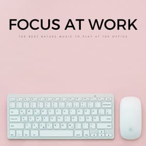 Focus At Work: The Best Nature Music To Play At The Office - Amazon Jungle Sounds
