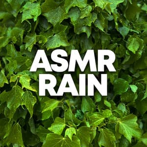 ASMR Rain - Rain Sounds Sleep