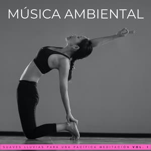 Música Ambiental: Suaves Lluvias Para Una Pacífica Meditación Vol. 1 - Meditaciones de lluvia