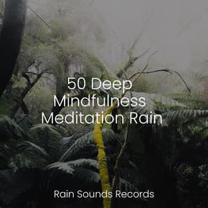 50 Deep Mindfulness Meditation Rain - Sons da Natureza