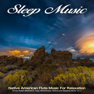 Sleep Music: Native American Flute Music For Relaxation, Stress Relief, Meditation, Yoga, Mindfulness, Healing and Sleeping Music, Vol. 2 - Native American Music Consort