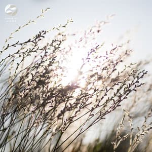 Whispers Of Wind And Piano Harmony - Mother Nature Ambience