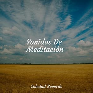 Mourning Song of Solitude - Minds United