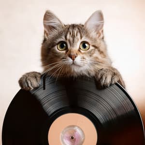 Lofi Beats For Cozy Paws - Classical Music for Pets