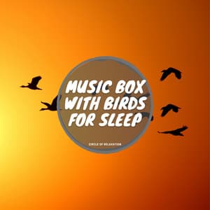 Music Box with Birds for Sleep - Circle of Relaxation
