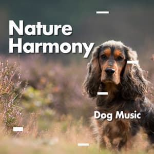 Nature Harmony - Dog Music