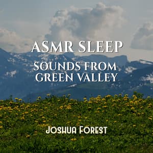 ASMR Sleep: Sounds from Green Valley, Soothing Woodland Wind - Joshua Forest