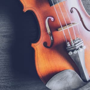 Orchestra of Midnight: Music for Deep Sleep - Charles Anderson