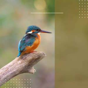 Personal Wellness - Relaxing Restaurant Music Quartets